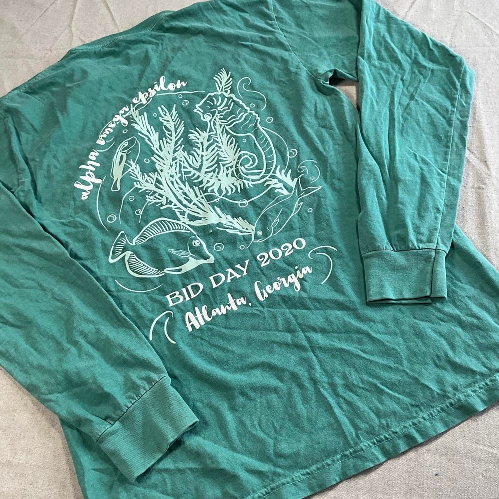 Womens Comfort Colors Alpha Omega Epsilon Green Bid Day Long Sleeve Tee(Small)